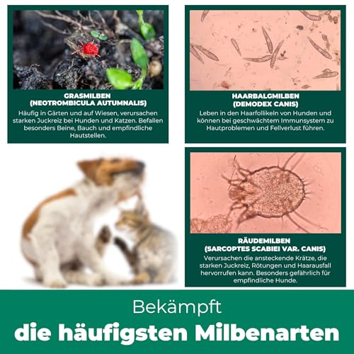 Silberkraft Grasmilben Ex Aktiv Spray mit effektiver Sofortwirkung [500 ml]