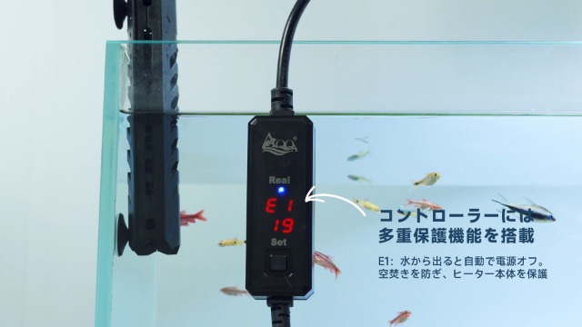 Amazon | AQQA 水槽用ヒーター 15~34℃温度調節 デジタル表示