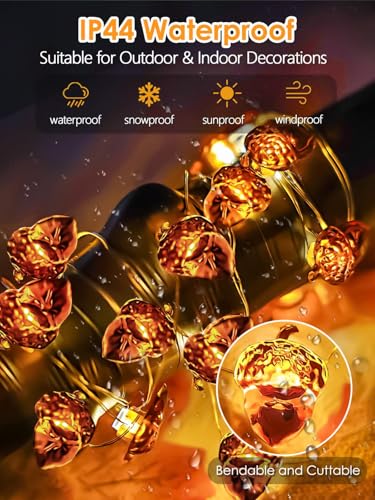 Image of EXF Fall Decor Acorn Fairy Lights Battery Operated with Remote 10FT 30 LED