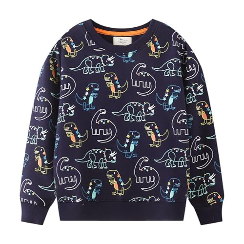 Boys Sweatshirts Casual Sweatshirts Cotton Sweatshirts Long Sleeve T-shirts Crew Neck Cartoon Tops for Boys-22
