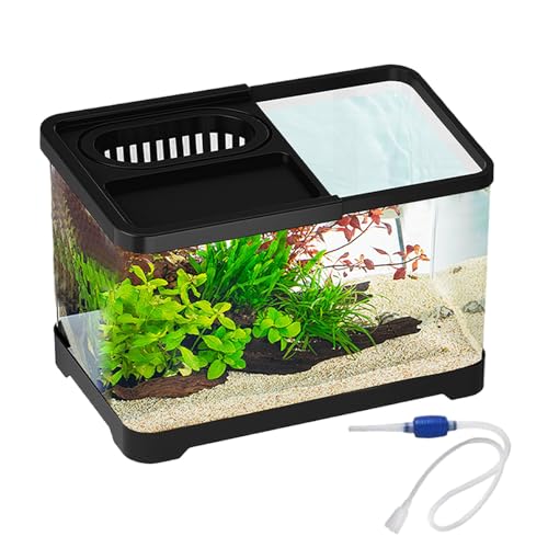 Pecera - Peceras Transparentes para Peces Betta con Filtro,Pecera Decorativa de Diseño para Decoración de Hogar Dormitorio Mesa Amantes de Mascotas Principiantes