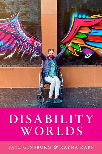 Disability Worlds view 2