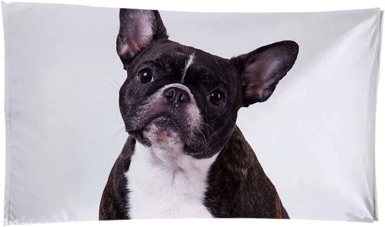 Grande Serviette De Plage, XXL 150 X 200 Cm Serviette De Plage Microfibre, Serviette De Bain Chien Animal Noir, Serviette De Plage Enfant, Tapis De Plage Anti Sable, pour Salle De Bains -7B7M