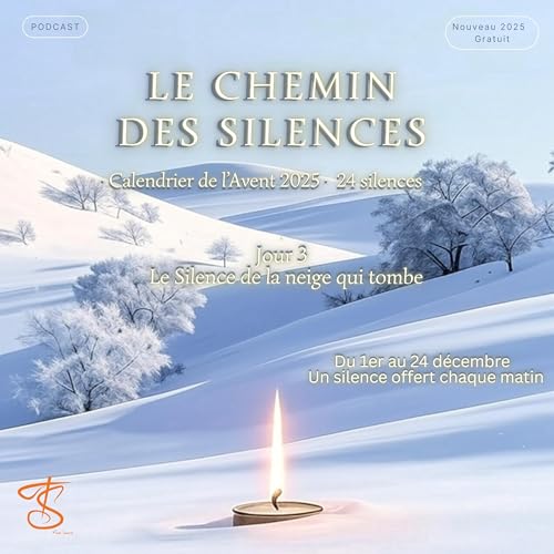 Le Chemin des Silences