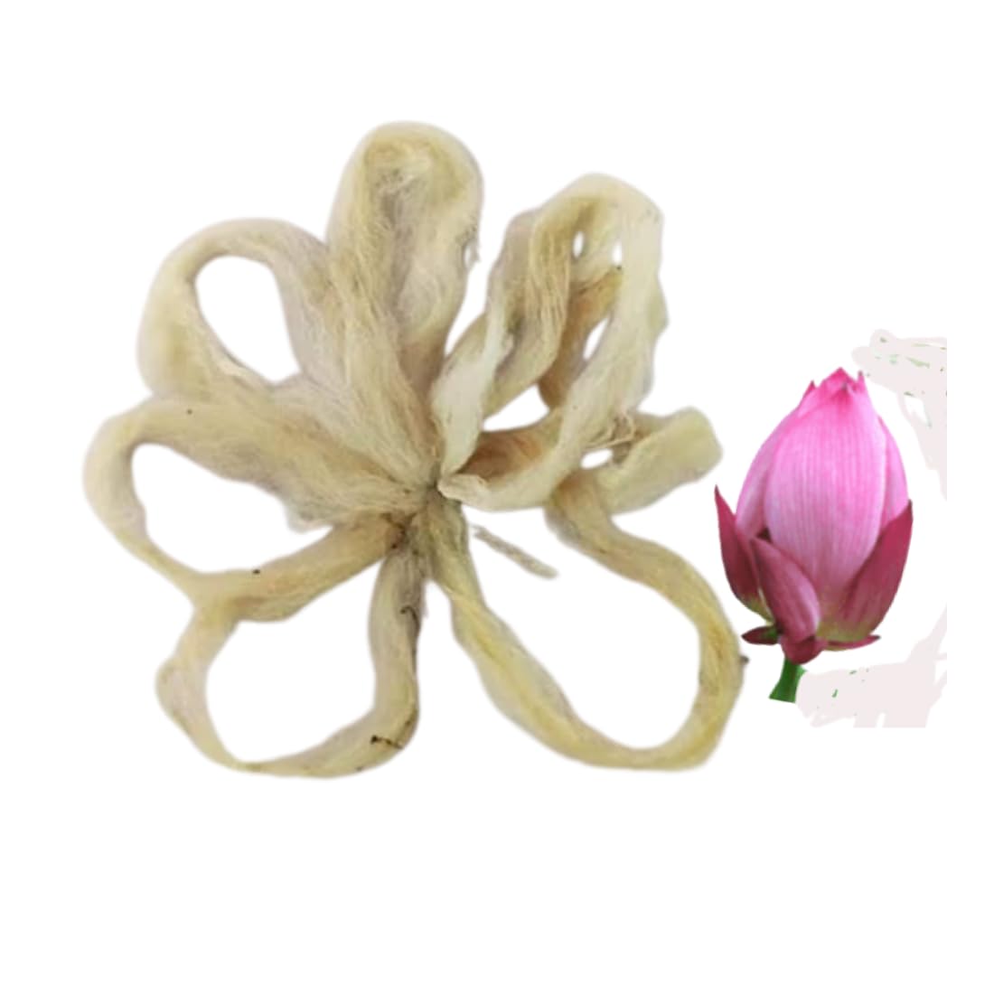 Thamarai thandu thiri/Lotus Wick for Pooja at Home Pooja Wicks, lamp Wicks (Pack of 10 pcs) (B0BDY21WM7) Amazon Price History, Amazon Price Tracker