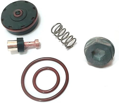 N008792 Kit de reparación de regulador de repuesto, compatible con reparación de regulador de compresor D55155 D55168 D55167 D55684 1WC94 1WC95 C002