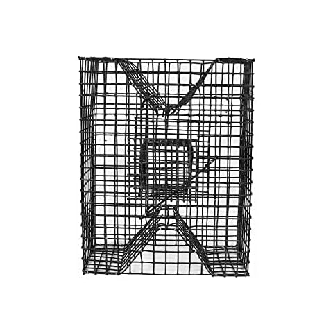 Joy Fish Pinfish Trap Made with Coated Wire mesh, Heavy Duty, Two Entrance. Meet Regulation, in USA, black Cover