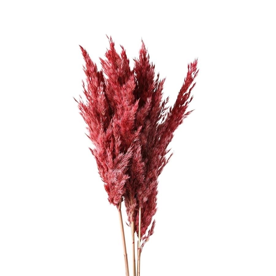Pampasgras Deko 45 cm natürliche, flauschige Pampasgräser, getrocknet, echte, mehrfarbige Luxus-Pampasgräser, Blumenstrauß for Hochzeiten, Partys, Zuhause, Innendekoration, Foto-Requisiten(Red,4-5pcs)