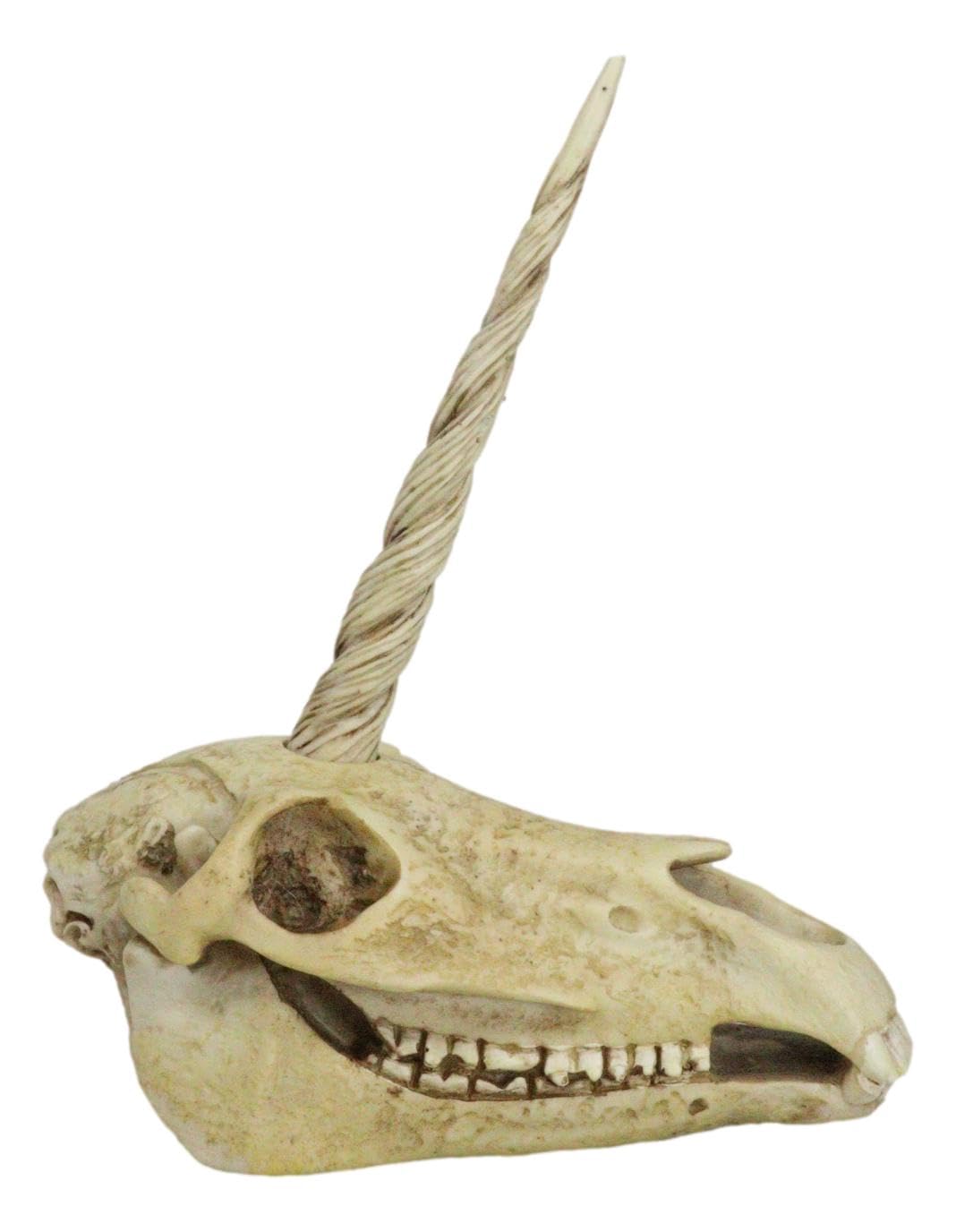 Ebros - Estatua de calavera de unicornio fósil antiguo, modelo de esqueleto de criatura mítica, gran regalo para arqueólogos, aventureros de excavación y coleccionistas