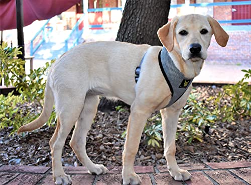 Image of EcoBark Gray Dog Harness - Eco-Friendly Max Comfort Harnesses - Luxurious Soft Mesh Halter - Over The Head Harness Vest- No Pull and No Choke