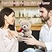 Oso Peluche 23 cm Tedy Bear Oso de Peluche Imagen de Oso Peluche 23 cm Tedy Bear Oso de Peluche