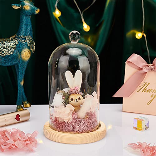 PH PandaHall Glass Display Dome Cloche - Image 2