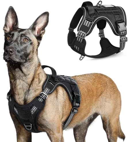 rabbitgoo Hundegeschirr Grosse Hunde Anti-Zug, L, Schwarz | MOLLE-System, Heavy Duty, Sicherheitsschnallen, Weiche Polsterung, 2 D-Ringe, Reflektierend für Taktisches Hundetraining