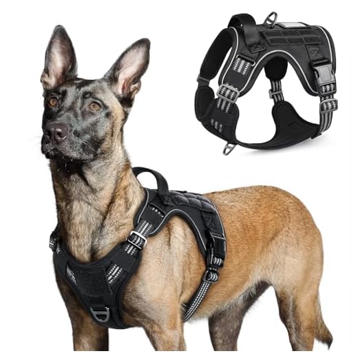 rabbitgoo Harnais Chien Anti Traction, Harnais Tactique Chien Réfléchissant Réglable avec Poignée et Anneaux, Gilet Solide Facile à Mettre, Harnais Chien Militaire pour Entraînement Chasse, Noir, L
