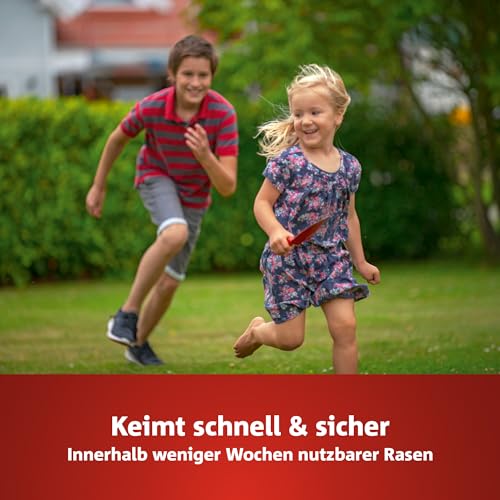 WOLF-Garten Sport- & Spielrasen LG 125 (für 125 m², schnell nutzbar & trittfest, strapazierfähiger Rasen für Sport- & Spielplätze, Hausgarten, für alle Bodenarten geeignet, im 2,5 kg Beutel) 3825020