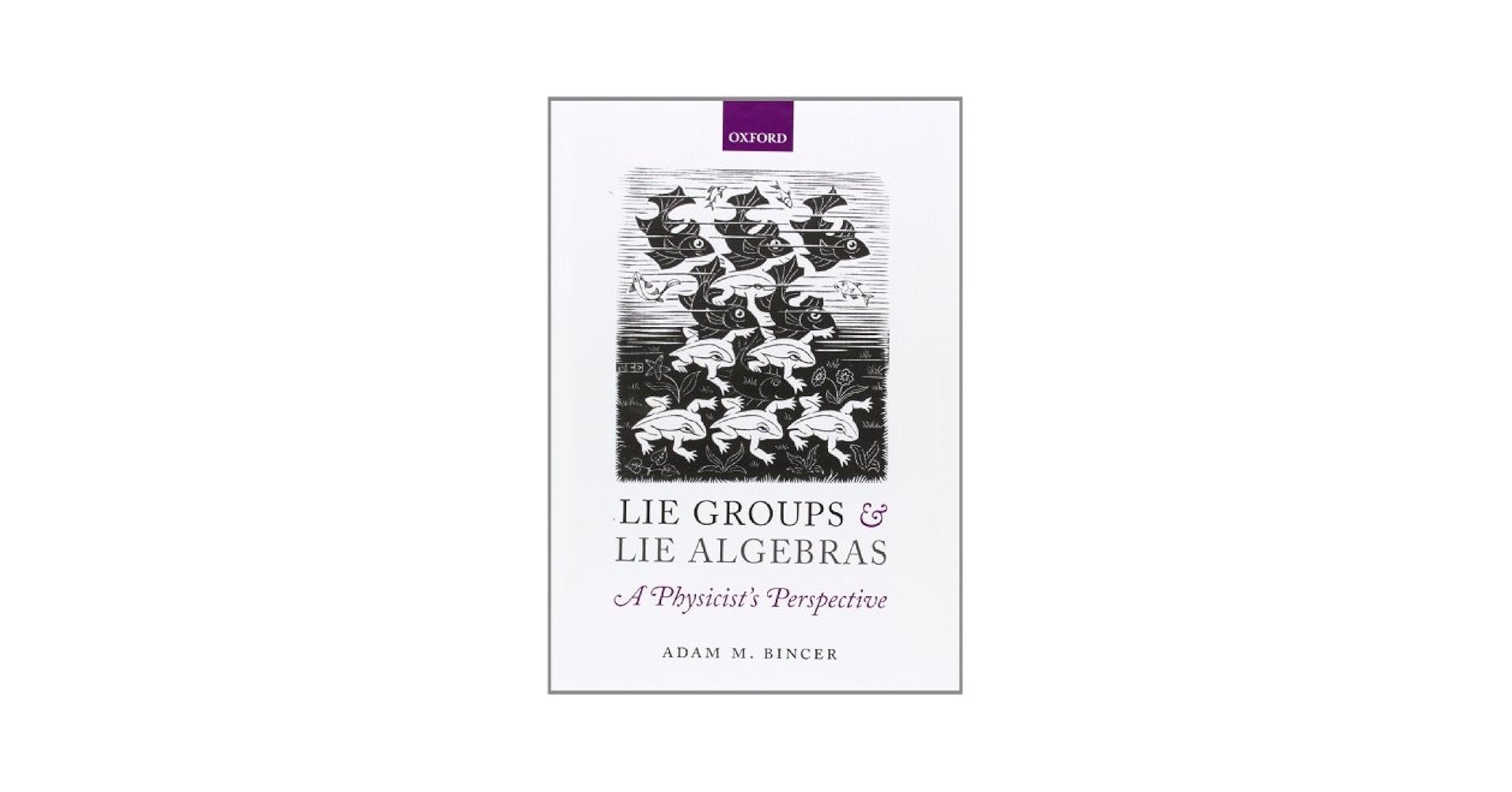 Lie Groups and Lie Algebras - A Physicist's Perspective