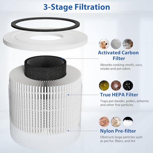 LEVOIT Core 300 3-in-1 H13 True HEPA Filter Replacement 2 Pack (White)
