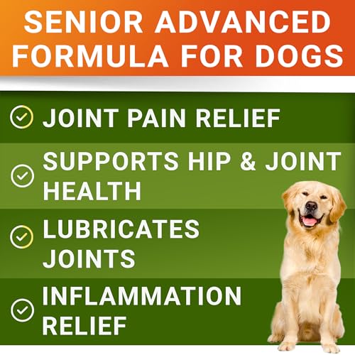 Senior Advanced Glucosamine for Dogs - Small + Large Breeds -Omega-3 Fish Oil - Chondroitin, MSM- Soft Chews for Older Dogs - Bacon Flavor - 120Ct image 1