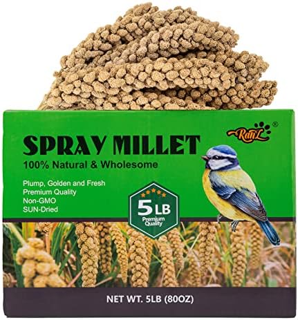 RANZ 5LBS Millet Spray for Birds, GMO-Free, Sun Dried Spray Millet, Original Bird Treats & Supplement for Parrots, Cockatiels, Lovebirds, Painted Buntings and Finches, Parakeets Food Millet