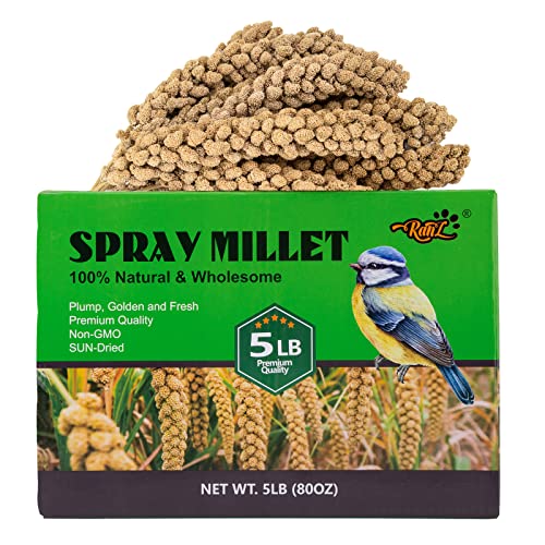 Ranz 5Lbs Millet Spray For Birds, Gmo-Free, Sun Dried Spray Millet, Original Bird Treats & Supplement For Parrots, Cockatiels, Lovebirds, Painted Buntings And Finches, Parakeets Food Millet #TOP3