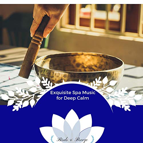 Exquisite Spa Music For Deep Calm