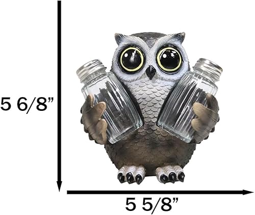 Miniatura 6 de Ebros Gift Whimsical Owlet Baby Owl con grandes ojos redondos de cristal, salero y pimentero, juego de figuras de exhibición de 6 pulgadas de alto,