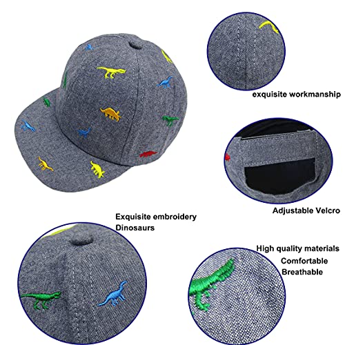 Sun Hat For Baby Boy And Baby Girl,Boys Girls Caps, Baby Baseball Caps Cotton Infant Toddler Kids Hat (2-4 Years, Gray Blue Dinosaur) #TOP2