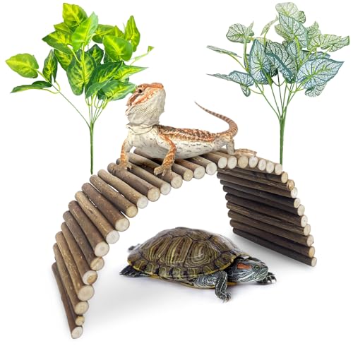 BNOSDM Reptile Hide Tortoise Hideout Bearded Dragon Wooden Bridge Snake Climbing Tunnel Habitat Decor for Lizards Spiders Gecko Ball Python (Small)
