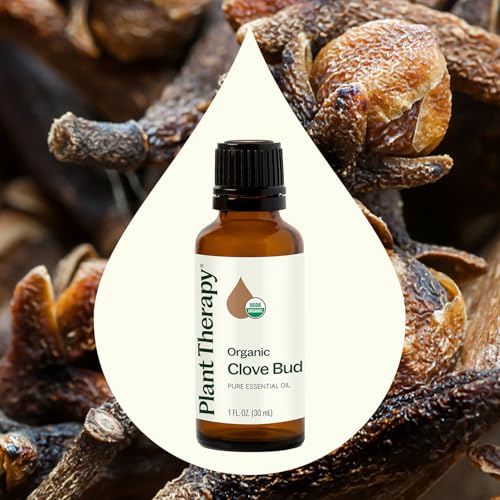 Aceite Esencial Orgánico de Clavo 30 mL Plant Therapy miniatura 3