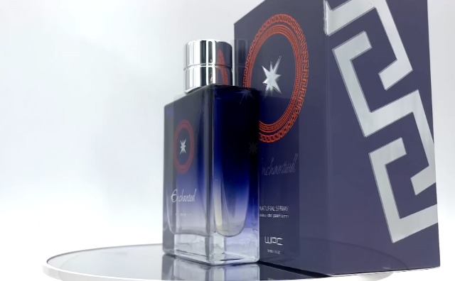 Buy WPC Renaissance Enchanted Amber Spicy Perfume for Men 100 Ml