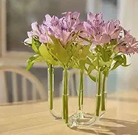 Vaso Tubo de Vidro Decorativo – 5 Tubos | Design Moderno Artesanal em Vidro para Arranjos Florais e Decoração Elegante