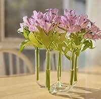 Vaso Tubo de Vidro Decorativo – 5 Tubos | Design Moderno Artesanal em Vidro para Arranjos Florais e Decoração Elegante