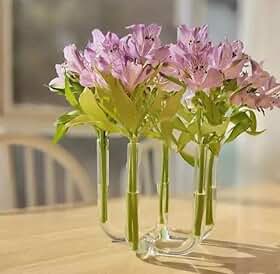 Vaso Tubo de Vidro Decorativo – 5 Tubos | Design Moderno Artesanal em Vidro para Arranjos Florais e Decoração Elegante