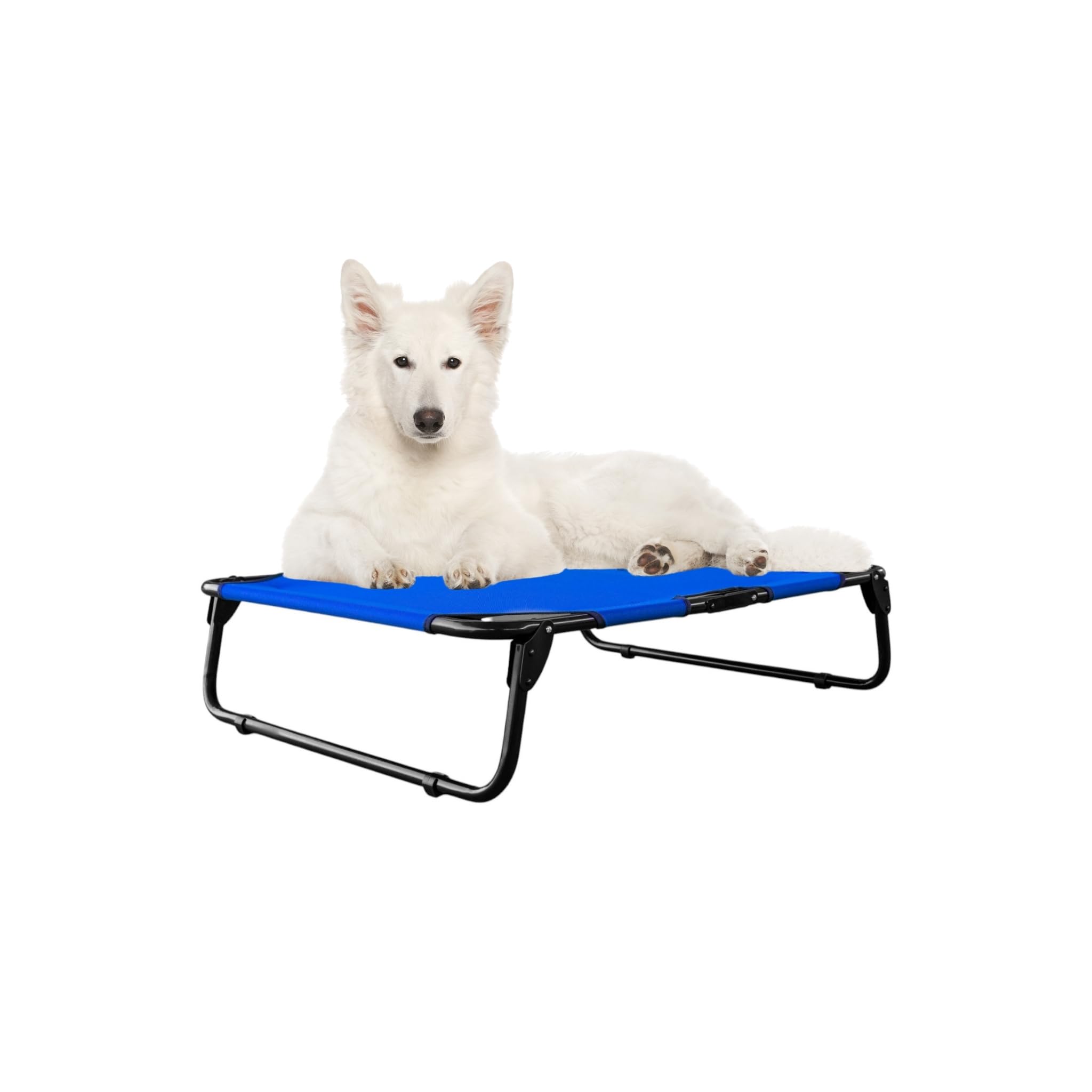PEGASO Raised Dog Bed Medium Breathable Washable Non-Slip 78 x 59 x 22 cm Mod KM-MD KM-MD Royal