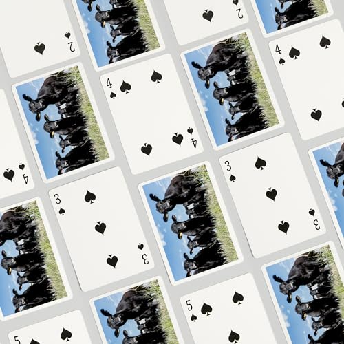 Baraja de 52 naipes tamaño póker Black Angus miniatura 4