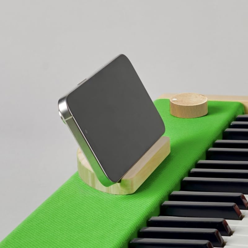 Loog Digital Piano - Portable Keyboard for Beginners with Musician Grade Sound, MIDI Over USB-C Rechargeable Musical Educational Instrument (Loog x Duolingo piano)