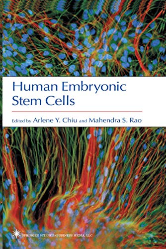 Human Embryonic Stem Cells view 2
