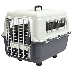 SportPet Designs Plastic Kennels Rolling Plastic Wire Door Travel Dog Crate – Medium, Gray (CM-2001-CS01)