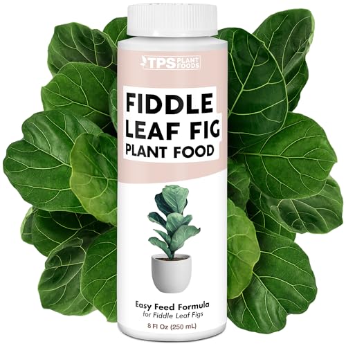 Fiddle Leaf Fig Plant Food for All Fig and Other...