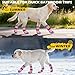 EXPAWLORER Dog Socks for Hardwood Floors, Dog Shoes for Winter, Dog Booties for Cold Pavement to Prevent Licking, Paw Protectors Strong Traction Control for Small Medium Large Dogs,Pink Purple XL