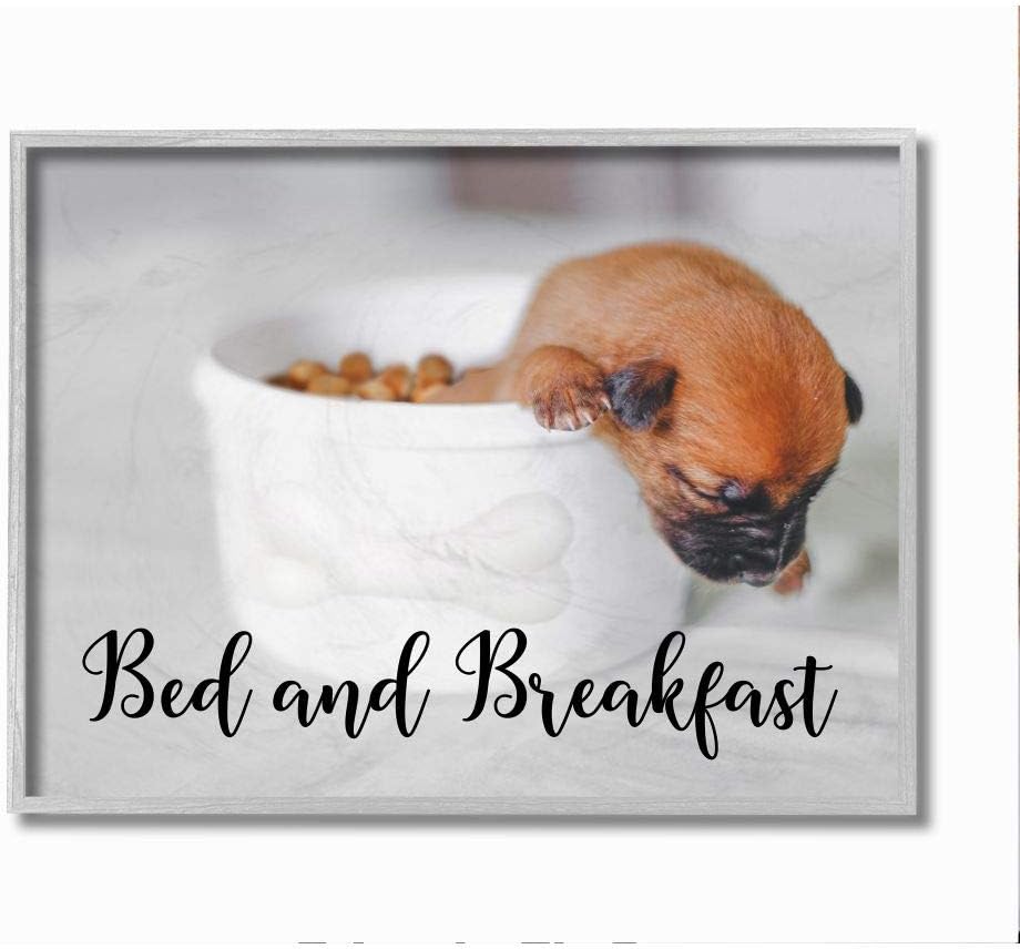 Stupell Industries Bed and Breakfast Phrase Puppy in Bowl House Dog