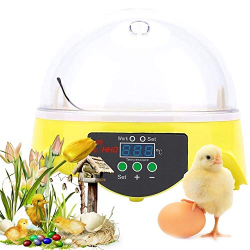 FCX-SHEARS Mini Egg Incubator 7 Eggs Capacity Digital Mini Hatching Chicken Quail Turkey Egg Hatcher Incubator Brood Machine Chicken Duck Egg Hatcher Electronic Automatic Incubator Brooder Tools