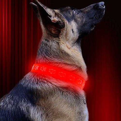 Top 18 flashing red light for dog collar for 2021 Sugiman Reviews