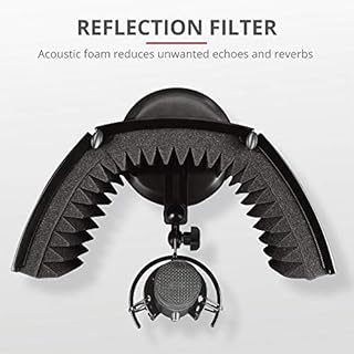 Trust Gaming Microfono con Schermo Fonoassorbente GXT 259 Rudox - USB Microfono a Condensatore per Studio e Registrazione Professionale, Canto, Podcast, Streaming, Voce, YouTube, Twitch, PC/Laptop