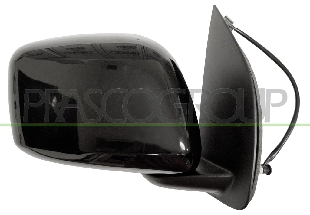 Prasco Schwarz Ds8147203 Außenspiegel