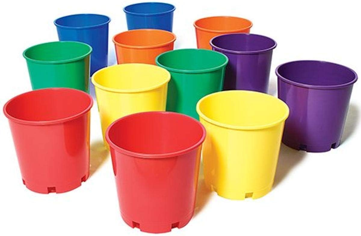 US Games Color My Class® Buckets (12-Pack)
