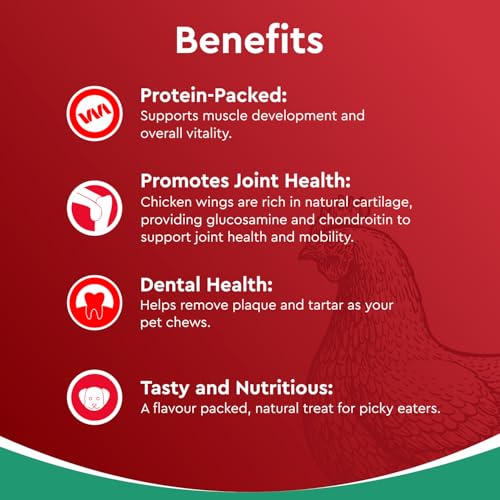 Image of Drools Puppy & Adult Dog Treats Dehydrated Chews Wings, 70g| Real Chicken Flavour | Vital Nutrients | Digestive Health | Protein-Packed | Tasty & Nutritious
