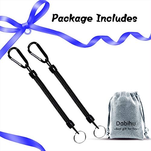 2 Pcs Stretchy Spiral Keyring with Color Carabiner Spiral Retractable Coil Spring Key Chain Theftproof Anti-Lost Stretch Cord Safety Key Ring for Keys, Wallet, Cellphone, Backpack