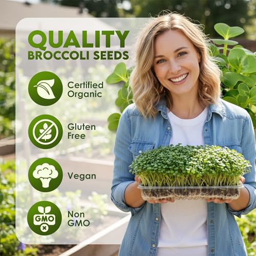 Nature Jims Sprouts Organic Broccoli Seeds for Sprouting – Certified Non-GMO, Rich in Sulforaphane, Swift-Growing Microgreen Seeds for Nutritious Broccoli Sprouts – Ideal for Indoor/Outdoor Use – 8oz
