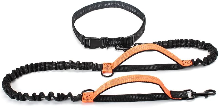 Dog Leash retractable Hands Free Dog Leash For Running Dual Handle Bungee Leash Reflective For Large Dogs 1Pcs New Orange